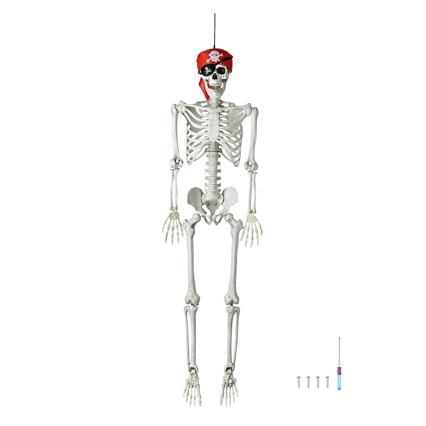 Spooky Halloween Hanging Full Skeleton Bones 5'4"
